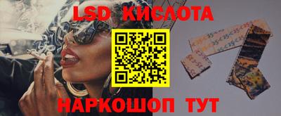 прущие грибы Новокубанск