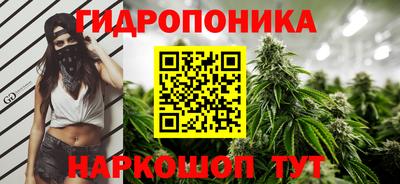 ALPHA-PVP Новозыбков