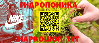 прущие грибы Новокубанск