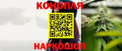 прущие грибы Новокубанск
