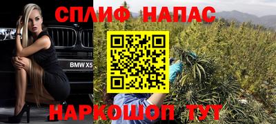 прущие грибы Новокубанск
