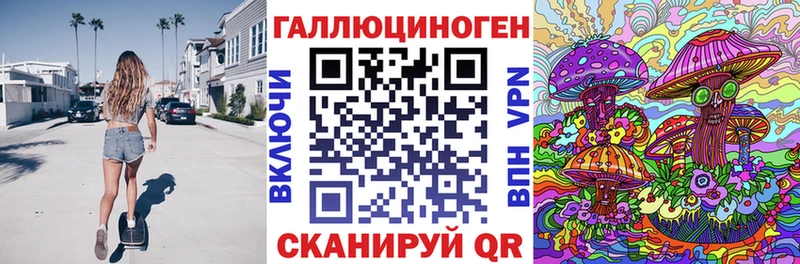 цена наркотик  Димитровград  Псилоцибиновые грибы GOLDEN TEACHER 