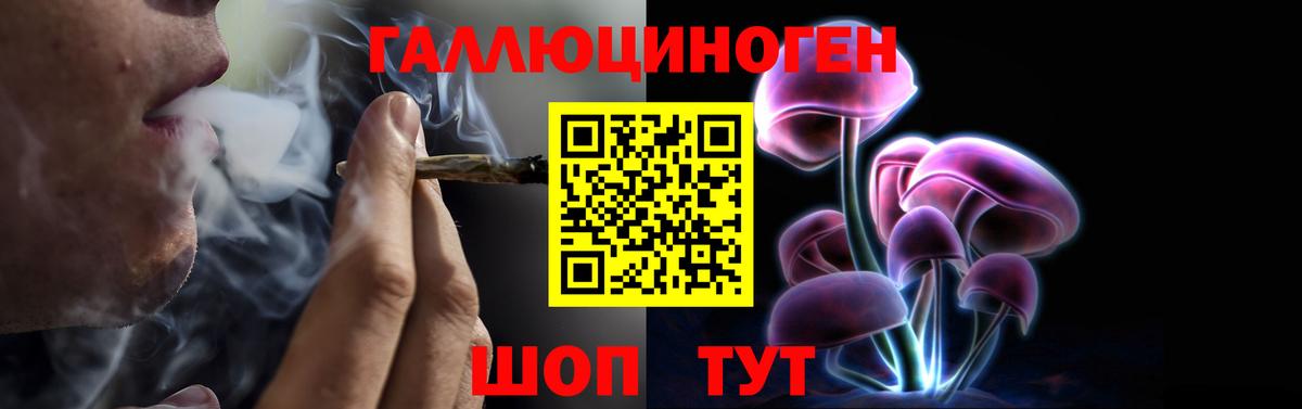 Димитровград  Псилоцибиновые грибы ЛСД  Вход с VPN 